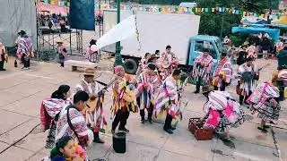 GRAN QHASWA CARNAVAL EN TINTA  _CANCHIS _CUSCO _PERÚ