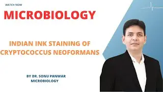 Indian ink staining of Cryptococcus neoformans by Dr Sonu Panwar