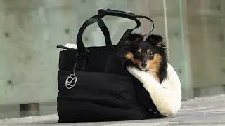 L'&eacute;lianne Designer Dog Carrier Alera