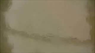 Bungee Jump: 1st person - Young's High Bridge - Vertigo Bungee