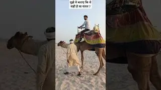kya ye karna sahi hai? #camel #rider #like