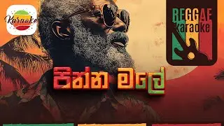 Pinna Male | Karaoke | Reggae | Lyrics | #edwardjayakody