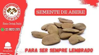 SEMENTE DE ABERE, RECEITA PARA SEMPRE SER LEMBRADO NO DIA A DIA