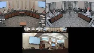 January 20, 2026  Laws & Ordinances Committee Meeting