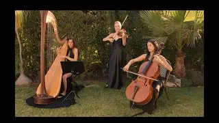 BLITZ NATION - Belle Trio - &ldquo;Halo&rdquo; (Beyonc&eacute;) | Harp &bull; Cello &bull; Violin