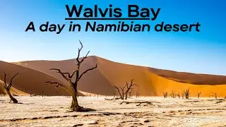 Walvis Bay : In the Namibian Desert | নামিবিয়া: লাল বালির দেশ | Cruise Exp: Part 3 #vagabondbony