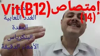 إمتصاص فيتامين ب١٢ (B12)