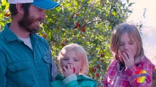 Washington Apples 1 minute industry video