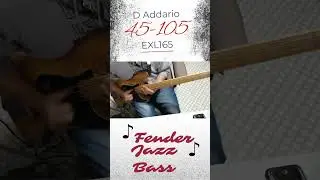 D Addario EXL165 45-105&Fender JazzBass