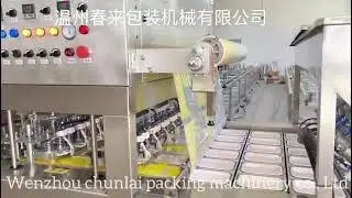 BG-6 inline type tray liquid filling sealing machine