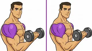 6 Best Shoulder Exercises To Build Big & Round Shoulders Fast 💪 