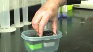 Bottom Watering While Treating With Chemicals