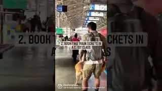 How to travel with your pet in train.