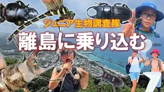 大成果！伊豆諸島 新島でジュニア生物調査隊が夏合宿