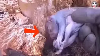 Rusty the Helped Squirrel: A Heartwarming Tale of Compassion and Second Chances.