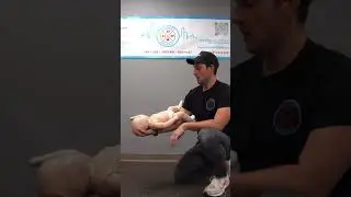 HELP my baby is CHOKING! Part 1. #choking #infant #baby #cpr #firstaid #chicago