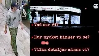 Vittnen, minnen och hur de fungerar | Palmemordet