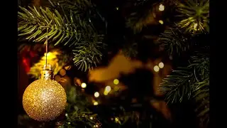 🎶✨🎄 A Celtic Celebration - The Night Heron Consort [Full Album]