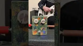 Syd Barrett Selmer tone&rsquo;s #sydbarrett#pinkfloyd#guitarcover#effectpedal#boutiquepedals#psychedelic