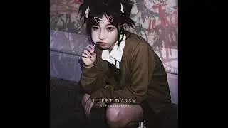 I Left Daisy - Nevertheless