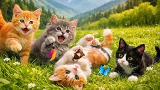 Playful Kittens Playing in Green Grass | Relaxing Meow Sounds & Adorable Moments