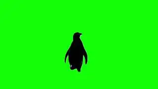 But why penguin Green Screen Meme