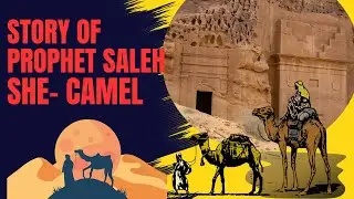Prophet Saleh story for kids || Prophet Saleh and his She -Camel || Prophet's stories