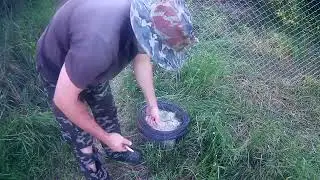 Загон для куриц. Часть 2.