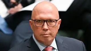 Peter Dutton has &lsquo;detoxified&rsquo; the Liberal Party