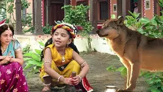 बाल कान्हा पे ऊपर जंगली बाघ ने किया हमला ? | यशोमती मैय्या के नंदलाला | Bal Krishan Leela