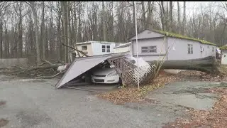 Homeowners taking new look at their trees after Saturday's storm