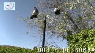 Presentación de nuestros cimbeles (CIMBELEROS ARTESANOS)
