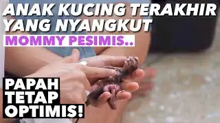 HIDUP ATAU MATI?? ANAK TERAKHIR KIARA 😭😭
