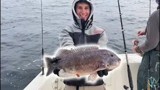 UNREAL Winter Tog Fishing! (hot action on jigs)