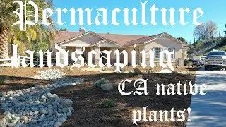 What is Permaculture landscaping? (California native landscape install)