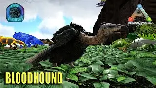 🎀  BLOODHOUND, POTION СИНОМАКРОПС 🎀ARK SURVIVAL EVOLVED mod Ark Omega №39