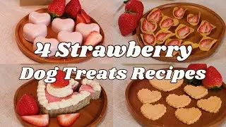 4 Strawberry Dog Treats Recipe | Pet Baking Video | Pudding, Cookie, Senbei, Tart