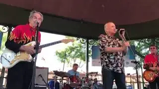 Jimmy Gilmer and the Fireballs, 