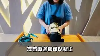 NoraDog的H型胸背穿法示範