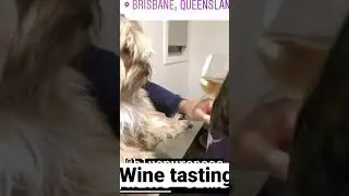 Wine 🍷 tasting !