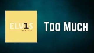 Elvis Presley - Too Much (Lyrics)