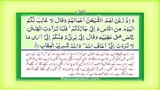 Para 10 - Juz 10 W a lamu HD Quran Urdu Hindi Translation