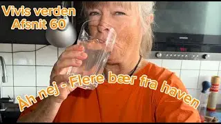 B&aelig;r fra haven som alternativ til citron, rosiner og te