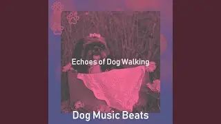 Exciting Music for Dog Walking