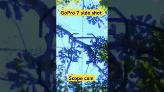 GoPro 7 side shot # scope cam # squirrel 🐿️ hunting
