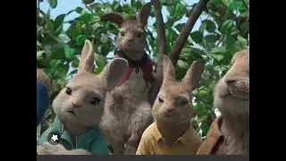खतरनाक खरगोश  Dangerous Rabbit #shortsvideo #viralvideo