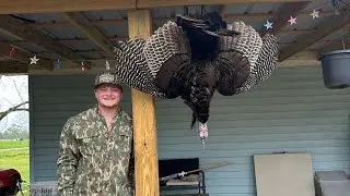 Close hard gobbling turkey!!