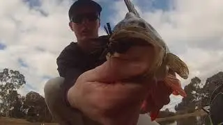 The Key to Winter Redfin Fishing! - Huge Redfin Perch on JIGS