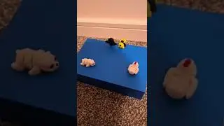 3D Animal Fight #3dprintedanimals