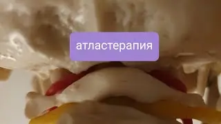 #атластерапия #головныеболи #шумвушах  #боливплече #боливчелюсти Атлас терапия 🤗